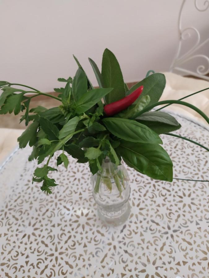 Casina Nel Salento * Lecce