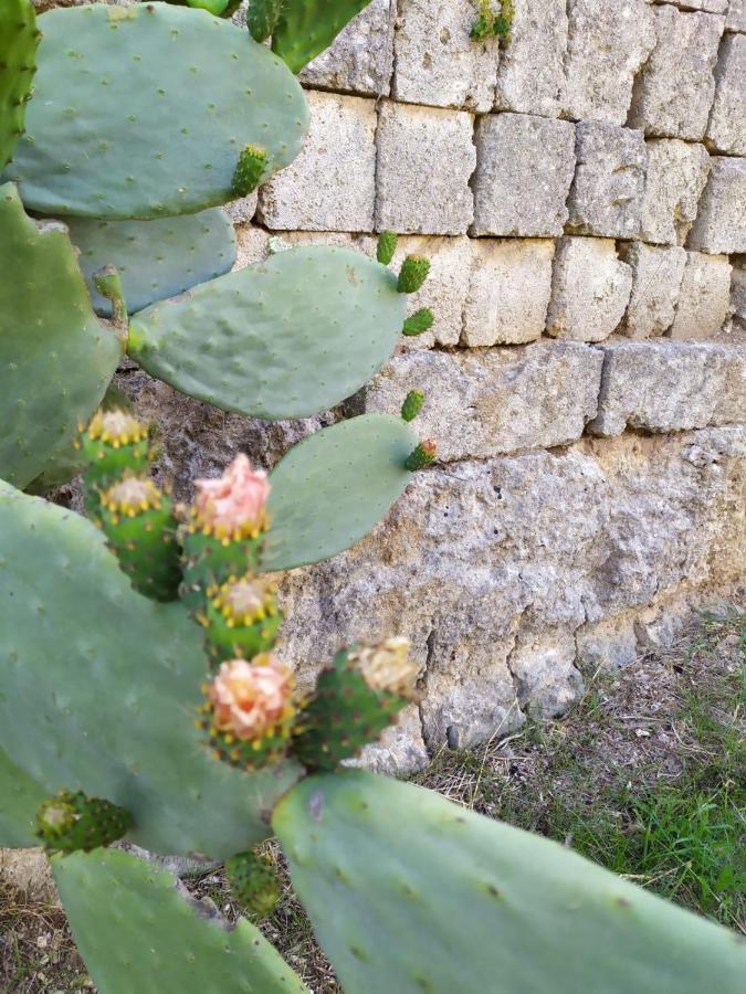 Casina Nel Salento
